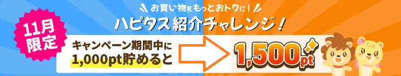 ハピタス2024年11月限定キャンペーンの解説